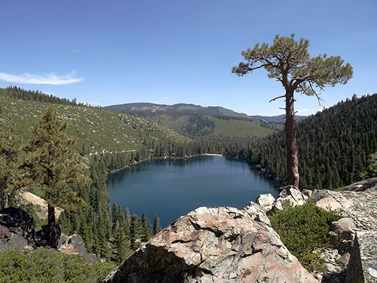 sardine lake